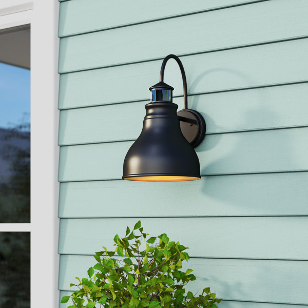 Ranbir Black 1 Bulb Outdoor Barn Light with Dusk to Dawn & Reviews